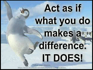 Masterpro Nivo Slider 3.x